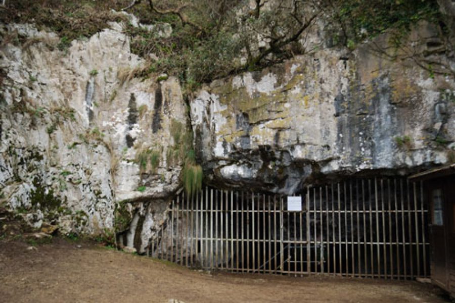 El Pindal: pionera del arte rupestre en Asturias