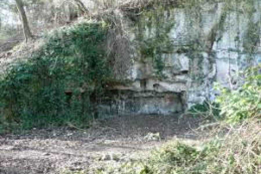 Grotte du Renard: labar artea ezohiko eremu batean