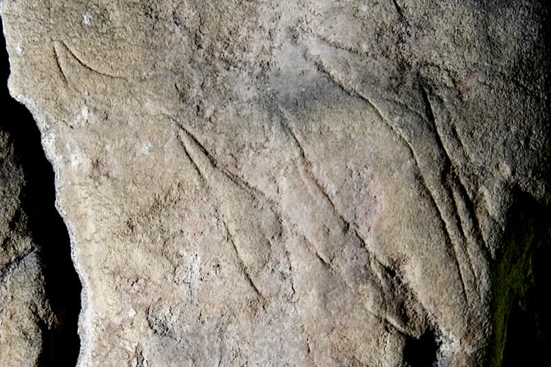 Creswell Crags: arte rupestre en las Islas Británicas