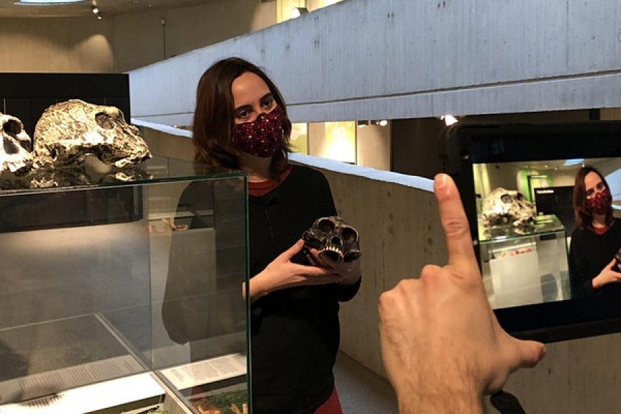 Visita virtual sobre evolución humana en el Neanderthal Museum el 12 de febrero