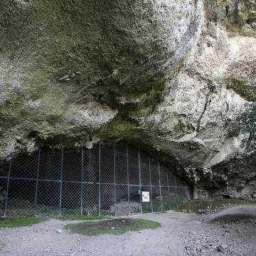 Vacheresse: un caballo grabado en una cueva de Ardèche