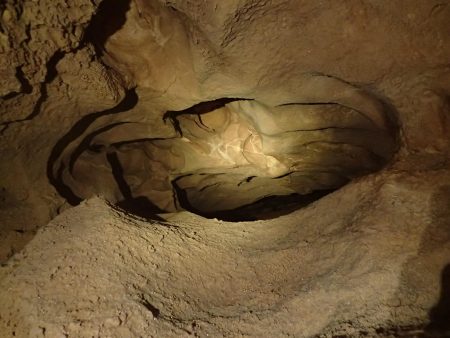Grotte de Mézelet: el bóvido grabado de Vallon-Pont-d’Arc