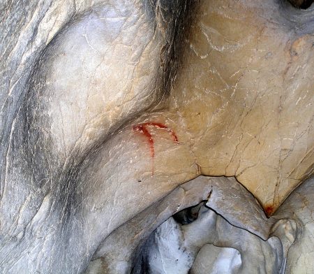 Grotte du Dérocs: íbices en el valle de Ardèche
