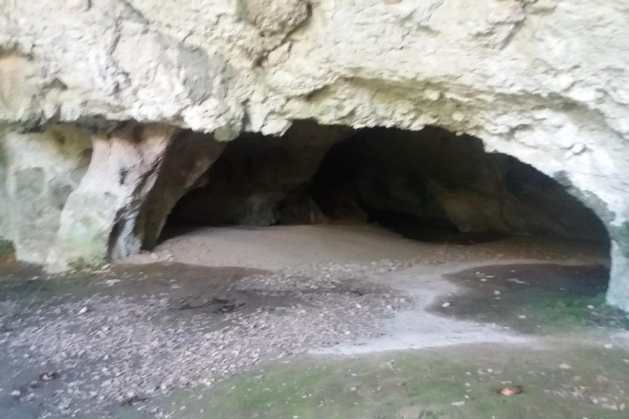 Grotte du Louoï: Madeleine aldiko grabatuak eta margoak