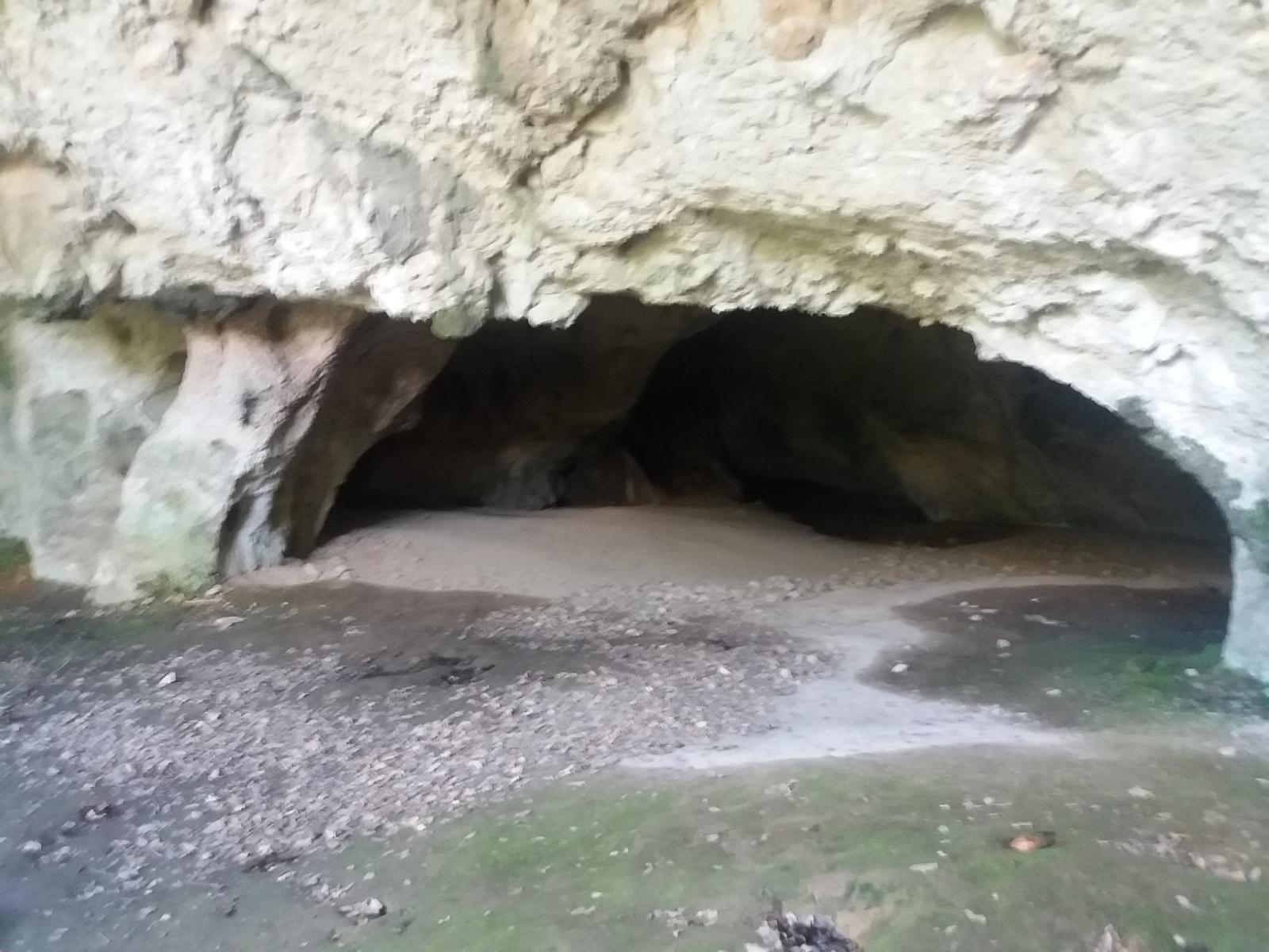 Grotte du Louoï: pinturas y grabados del Magdaleniense