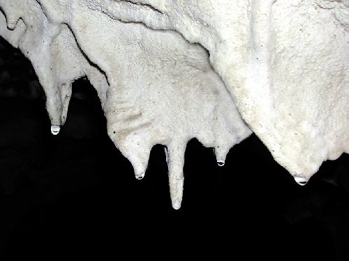 Grotte de La Cavaille: dibujos de las primeras épocas del Paleolítico Superior