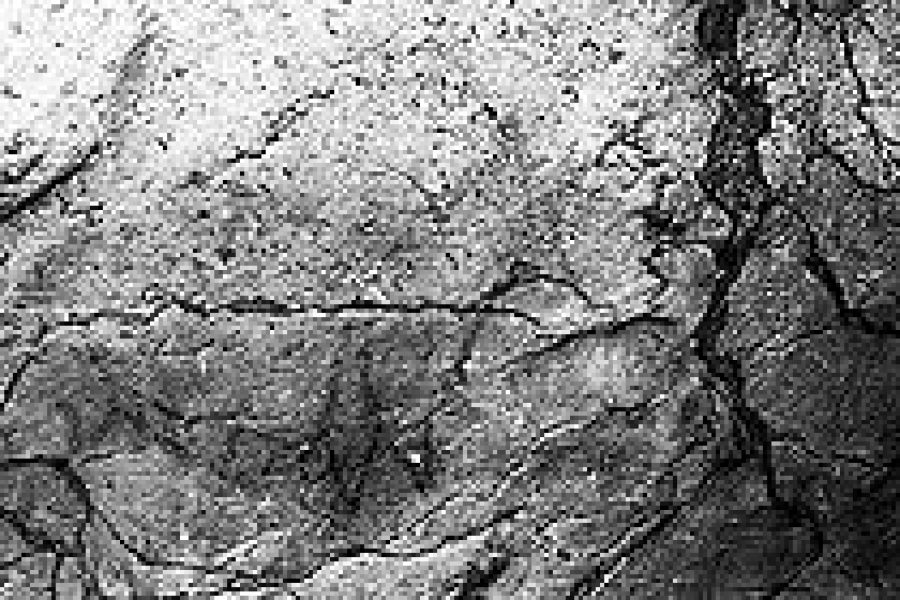 Grotte de Bayol o Grotte des Colonnes: obras de arte realizadas con las formas de las rocas