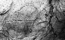 Grotte de Bayol o Grotte des Colonnes: obras de arte realizadas con las formas de las rocas