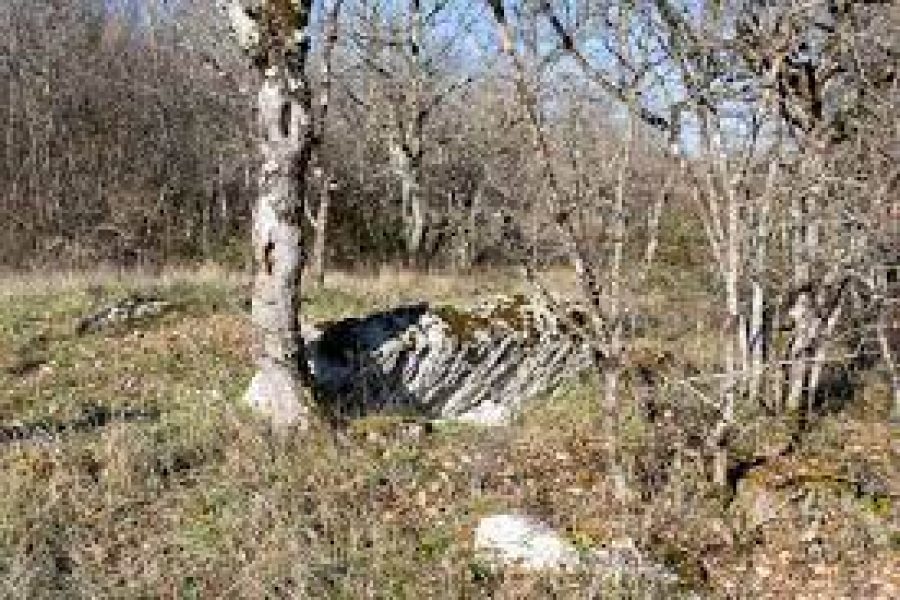 Grotte de Sainte-Eulalie a Espagnac: los renos de Occitania
