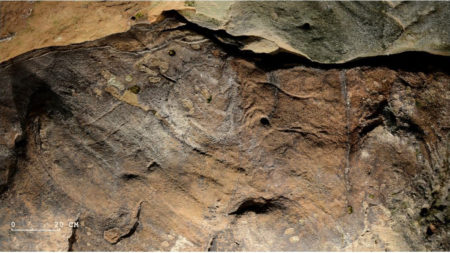 Le Puy-Jarrige II: caballos y bisontes en una cueva de arenisca