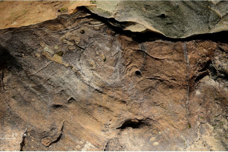 Le Puy-Jarrige II: caballos y bisontes en una cueva de arenisca